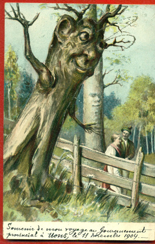 Faccia albero vintage - d'albero,