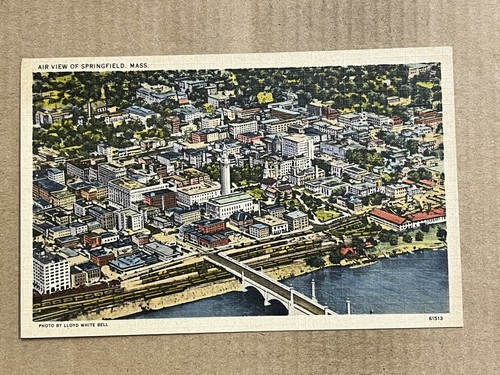 Cartolina springfield - cartolina,