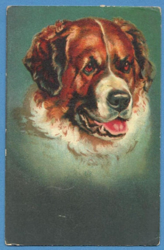 Dog bernard vintage pc - dog,